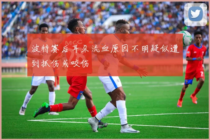 波特赛后耳朵流血原因不明疑似遭到抓伤或咬伤