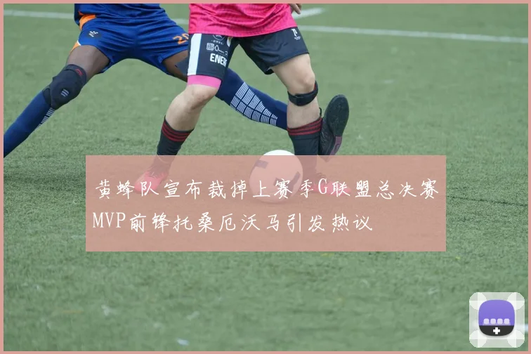 黄蜂队宣布裁掉上赛季G联盟总决赛MVP前锋托桑厄沃马引发热议